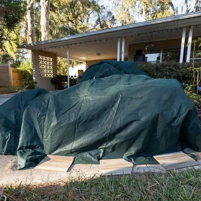 thumbnail for publication: Cold Protection of Landscape Plants